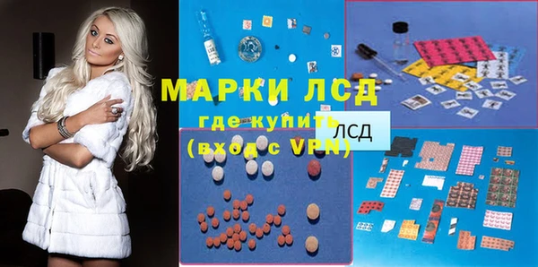 гашик Аркадак