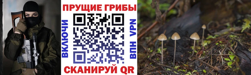 Галлюциногенные грибы Magic Shrooms  где купить   Фролово 